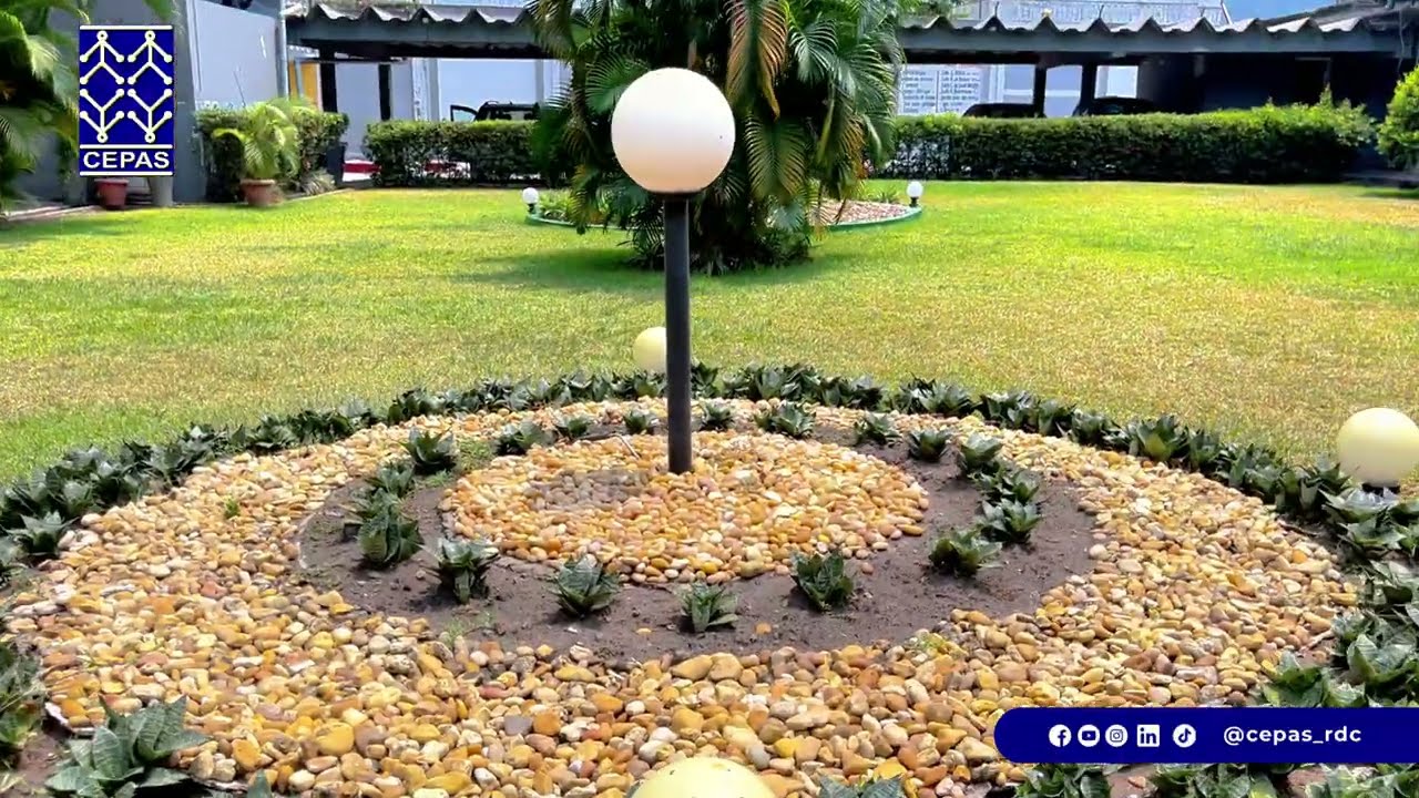 Vidéo CEPAS - o2xopuy6w7o