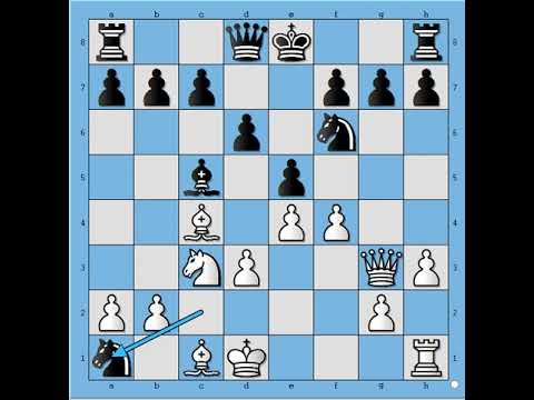 Kada Fišer pokloni sve protivniku očigledno da nešto sprema  ○ FISCHER vs McDERMOTT # 2021