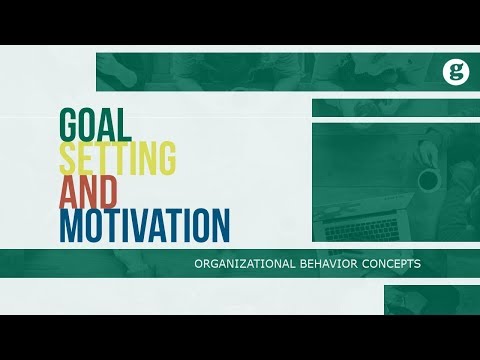 What is Organizational Behavior