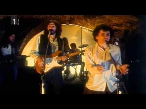 Priletni parazit ali Kdo je Marko Brecelj (skrajšani dokumentarec)