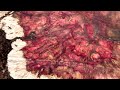 Blood Tree