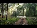 The UNSUNG Documentary On The Life At Bhadra