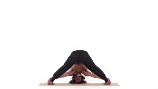 ESTESA TRA I PIEDI – PRASARITA PADA UTTANA ASANA