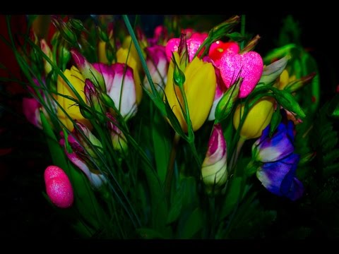 , title : 'Flowers for Zodiac Signs. Meaning. Horoscope. Flowers according to zodiac sign