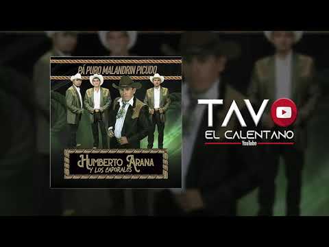 Mil Veces Muerto - Humberto Arana y Los Caporales