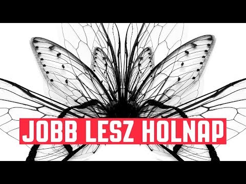 Vad Fruttik - Jobb lesz holnap | videóklip