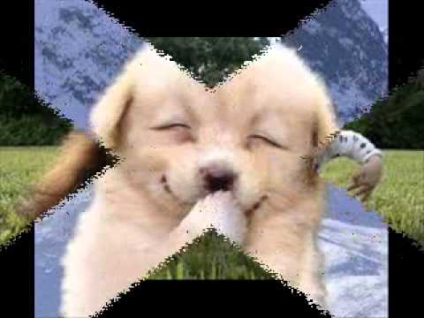 Ahto Juhkam ,Esmakordselt