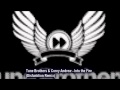 Tune Brothers & Corey Andrew - Into the Fire (Disfunktion Remix)