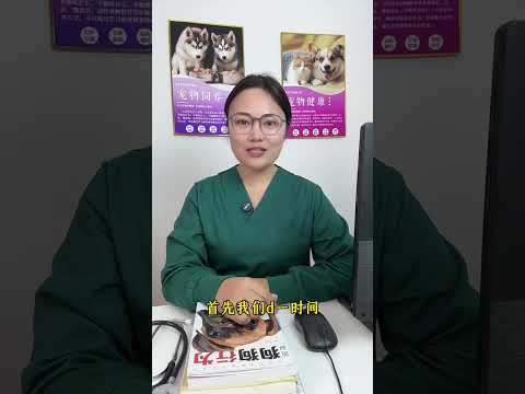 The Ultimate Guide: Foods Dogs Should Never Eat