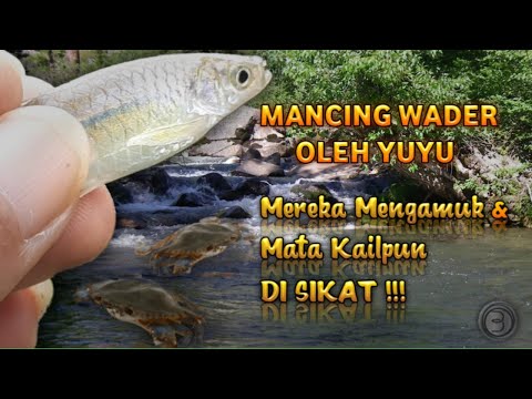 Mancing ikan beunteur