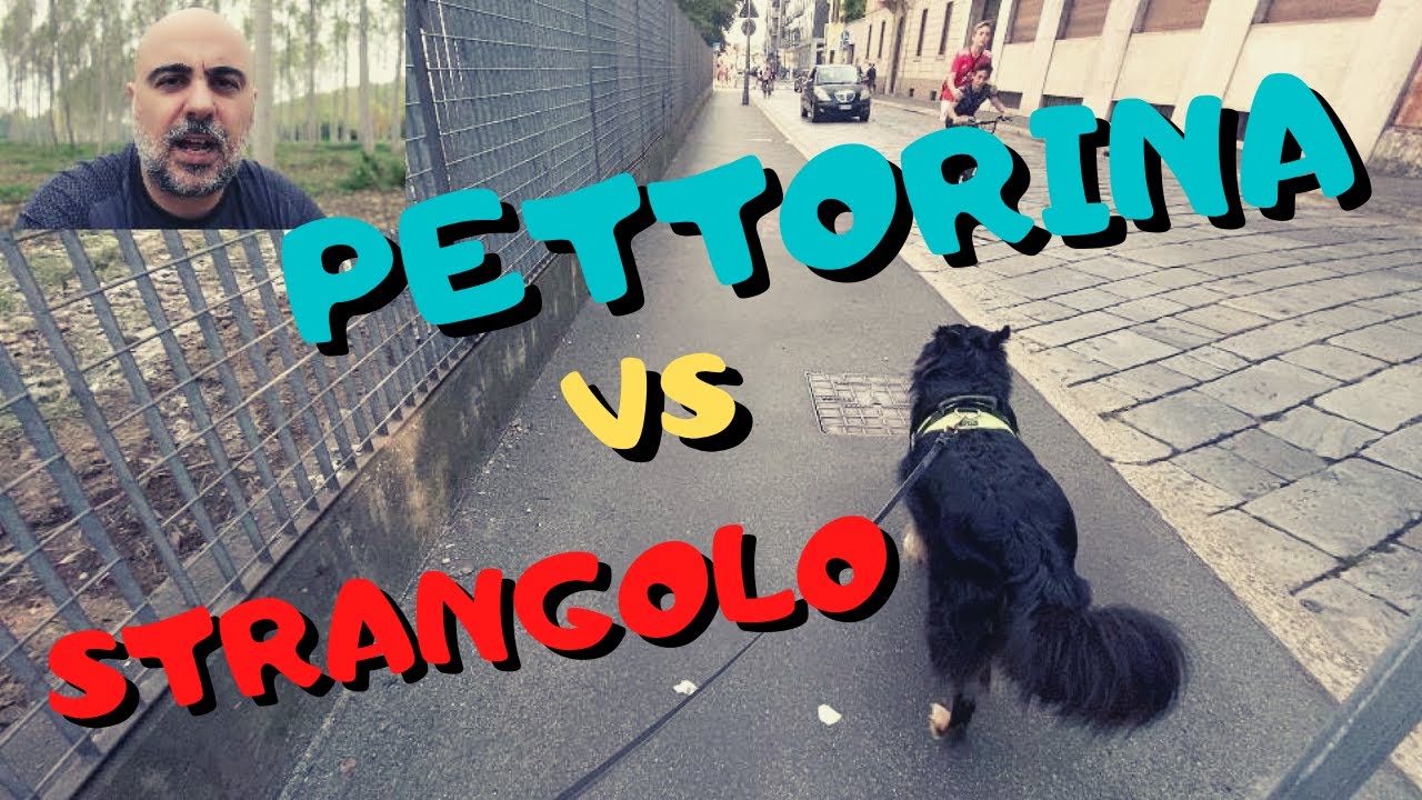 Watch Now COLLARE A STRANGOLO vs PETTORINA (+ Nuovo Vlog) COLLARE A STRANGOLO vs PETTORINA (+ Nuovo Vlog)