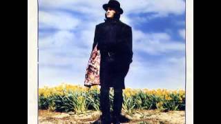 Zucchero - A Wonderful World