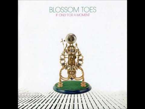 BLOSSOM TOES - Nobody But (demo)