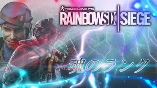 レインボーシックスシージ　魂のランク　参加型　18：00まで