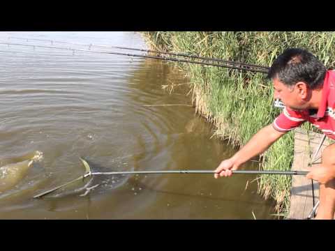 Călărași / Cupa SNPPC - pescuit sportiv ed. 4