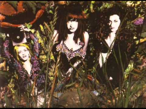 Harry Crews music, videos, stats, and photos | Last.fm