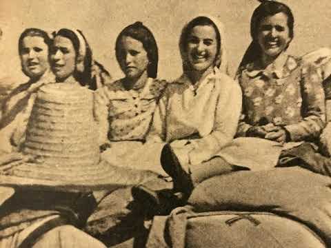 Quintetto del Delirio e Carlastella, Il canto dei timidi, Swingfox, Milano, 1942