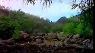 antonio aguilar palomas que andan volando