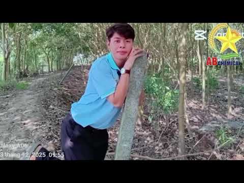 BẮT TREND HOT - MỜI QUÝ BÀ CON, QUÝ KHÁCH HÀNG CÙNG GHÉ “TRẠM AB CHEMICAL”