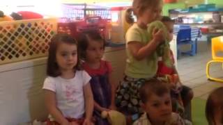 Promenons-nous dans les bois