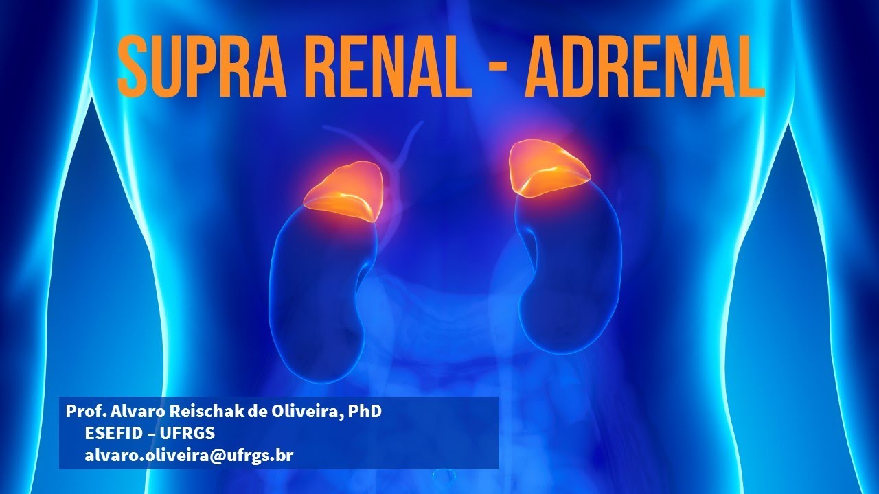 Aula 23 - Supra Renal