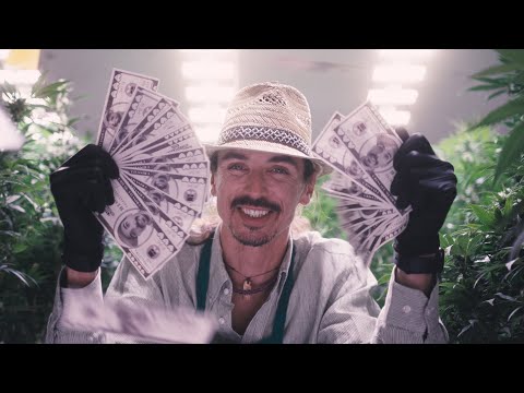 Faiasalamanda - A Bissale