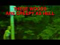 Insane Walking Tour #3 : He Said These Woods Are Haunted and I Believe Him / Midnight in the Void
