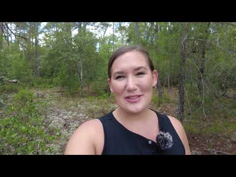 🚴 Trail Days & Tee Times — Build Your Dream Home in Citrus Springs on Ronda Drive MLS#854962