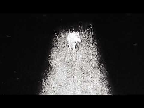 Zacari & Isaiah Rashad - Bliss (Official Audio)