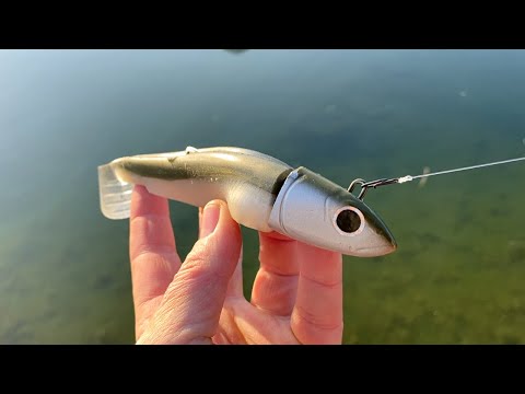 simple way to rig Fiiish Black minnow