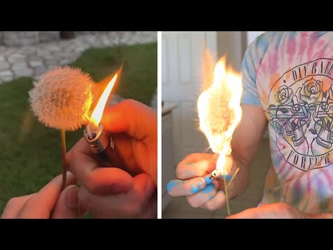 LIGHTING DANDELIONS ON FIRE IN SLOW MOTION