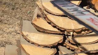 Serraria m&oacute;vel Logosol E5000 | Imagem 4 - Machineryline