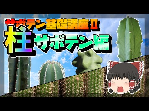 Pediocactus simpsoniiについて詳しく解説