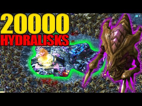 Can You Survive 20000 Hydralisks Attacking You