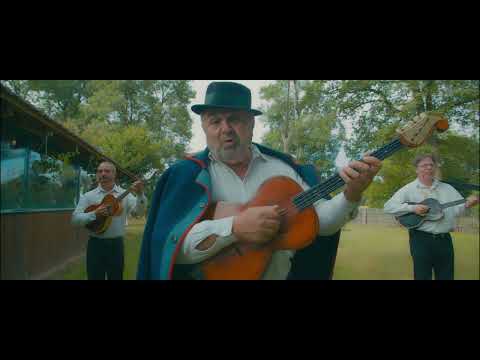 TS Dike - Dedin šešir (Official 4k video)