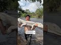BUAYA PUTIH DIMASAK APA ENGGAK
