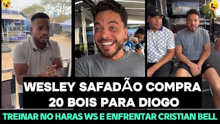 WESLEY SAFADÃO COMPRA 20 BOIS PARA DIOGO TREINAR NO HARAS WS E ENFRENTAR CRISTIAN BELL!