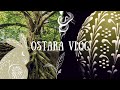 Celebrate the Spring Equinox | OSTARA ritual ideas | Witch Vlog
