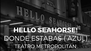 Hello Seahorse! - Donde estabas (Azul) Teatro Metropolitan
