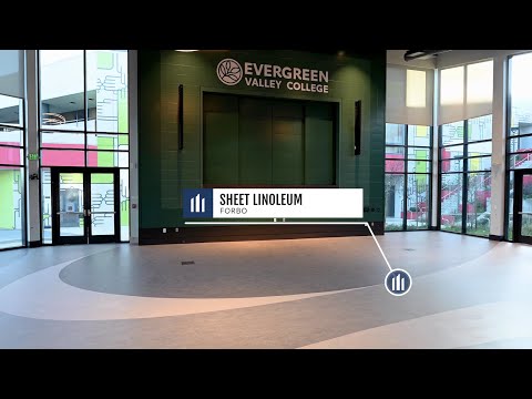 Evergreen Valley College | Floor Covering