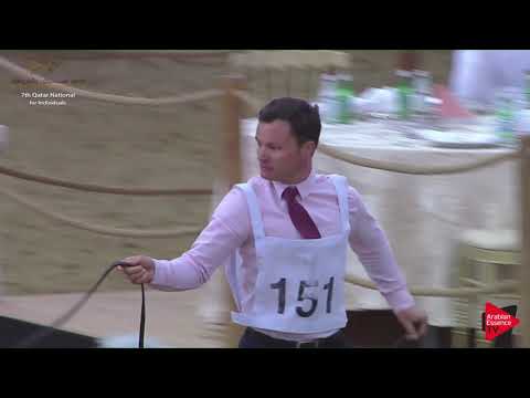 N.151 BAHI ALSAFINAT - 2019 Qatar Individuals - Yearling Colts (Class 4B)