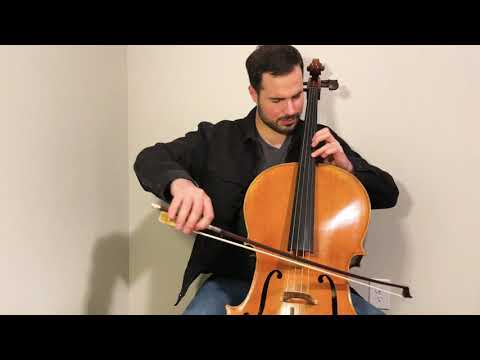 The Swan - Naseem Alatrash (Saint-Saëns)