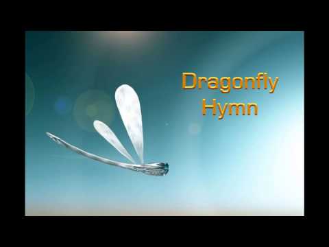 Marc Racordon - Dragonfly Hymn