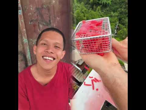 TERNYATA DIA ADIKKU😭🥺 #fyp #foryoupage #fypシ #komedikocak #samasamaketawa #humor