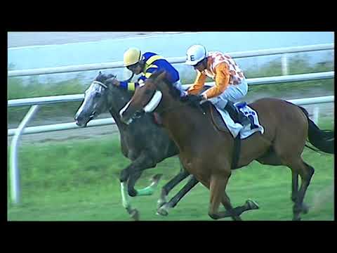 Napoli Galoppo 07/08/2021 - 3ª corsa