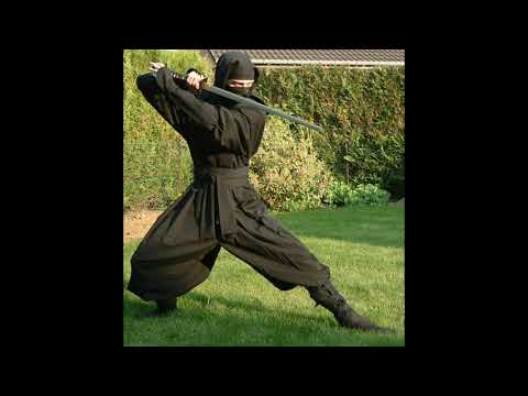 FREE - SEEMEE X RVMZES X BUSHIDO ZHO TYPE BEAT - Ниндзя (prod. KUSHTRIBE)