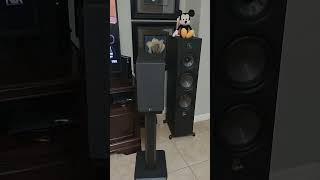 Video thumbnail for Polk R200 #speaker #polk #music #amp by HalfOhmStable