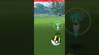 タッツー ポケットモンスター マリル ルンパッパ カイリュー タッツー ポケットモンスター マリル ルンパッパ カイリュー