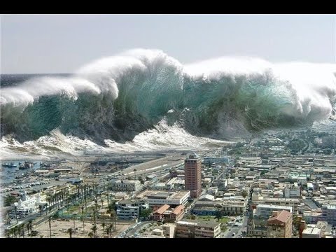 The Indian Ocean Tsunami
