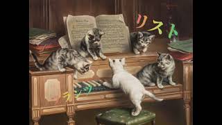 Download lagu 「フランツ・リスト」 mp3